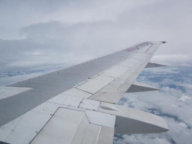 56.jpg